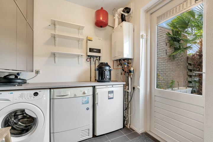 Photo 10 of Kamperfoelie 3