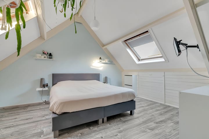 Photo 23 of Kamperfoelie 3