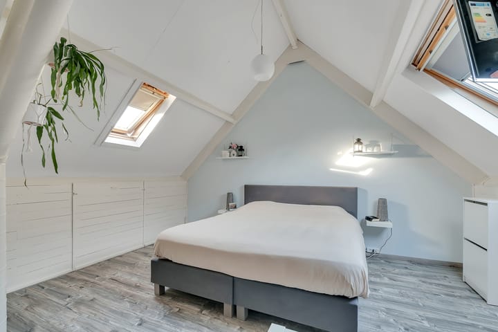 Photo 24 of Kamperfoelie 3