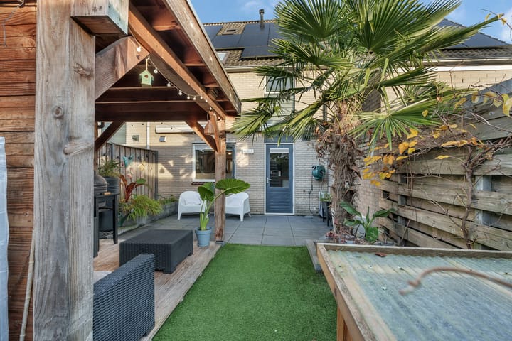 Photo 27 of Kamperfoelie 3