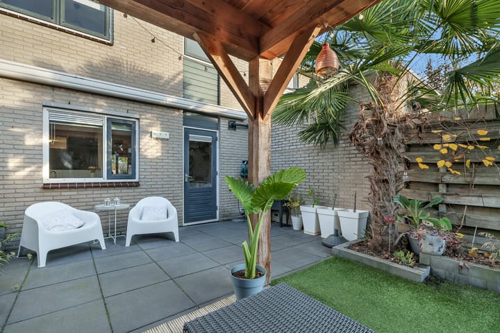 Photo 28 of Kamperfoelie 3