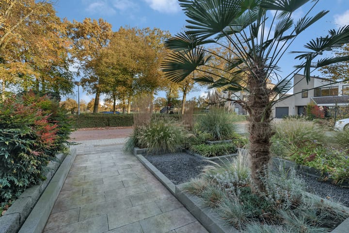 Photo 29 of Kamperfoelie 3