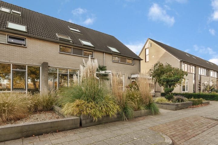 Photo 30 of Kamperfoelie 3