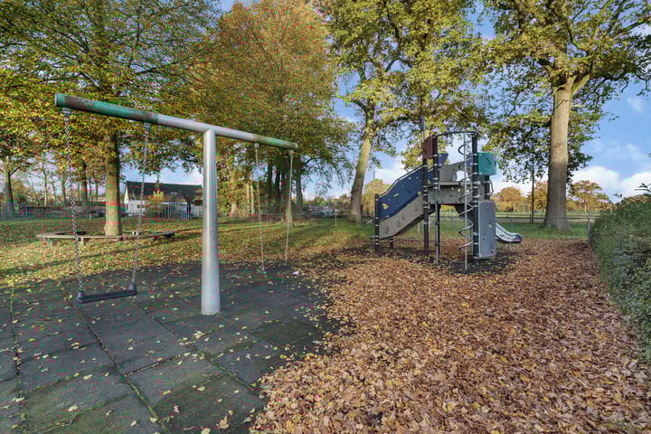 Photo 31 of Kamperfoelie 3