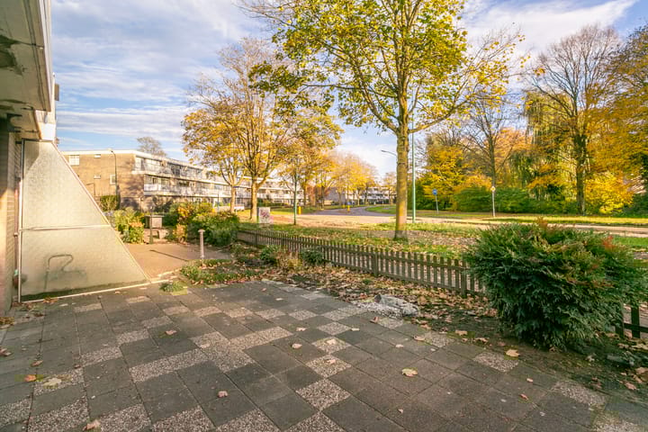 Photo 3 of Homoet 1-A