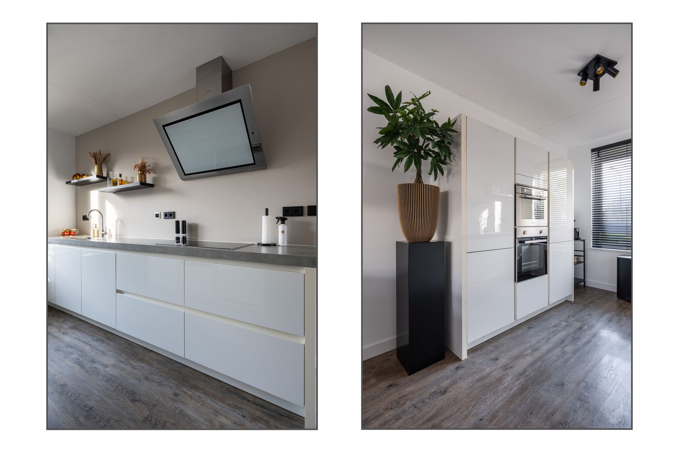 Foto 6 van Remus 206