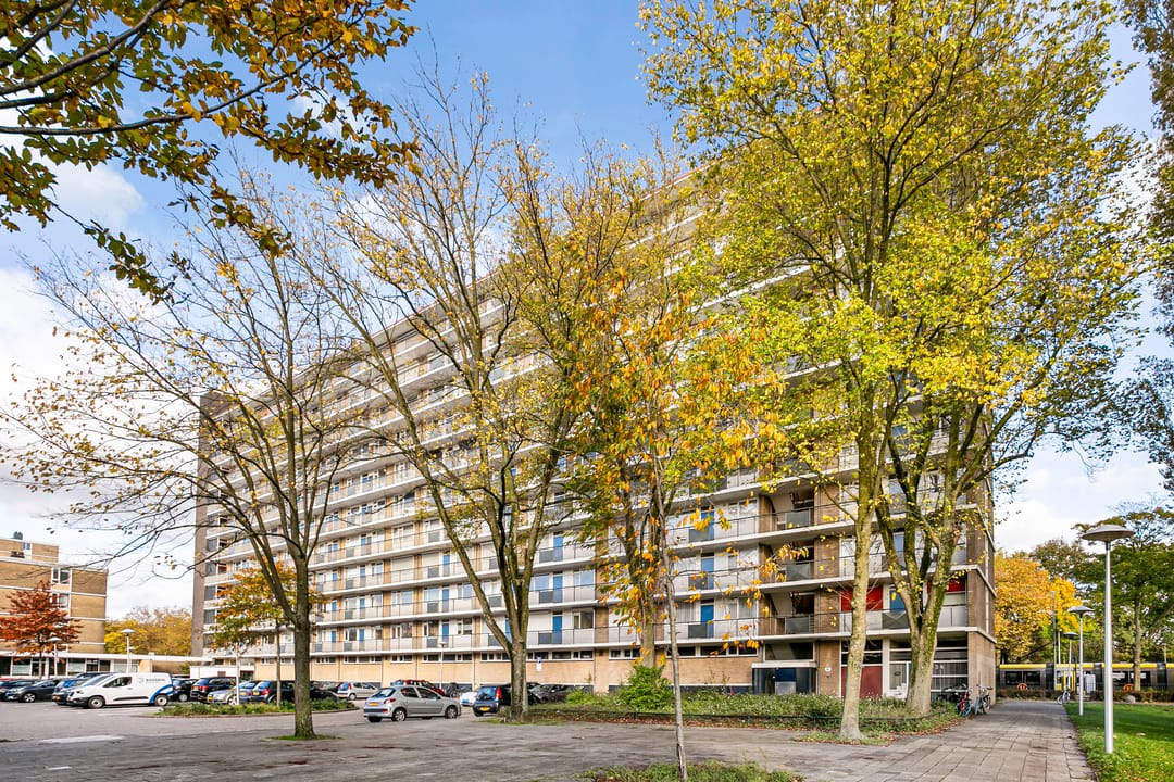 Photo 1 of Livingstonelaan 766