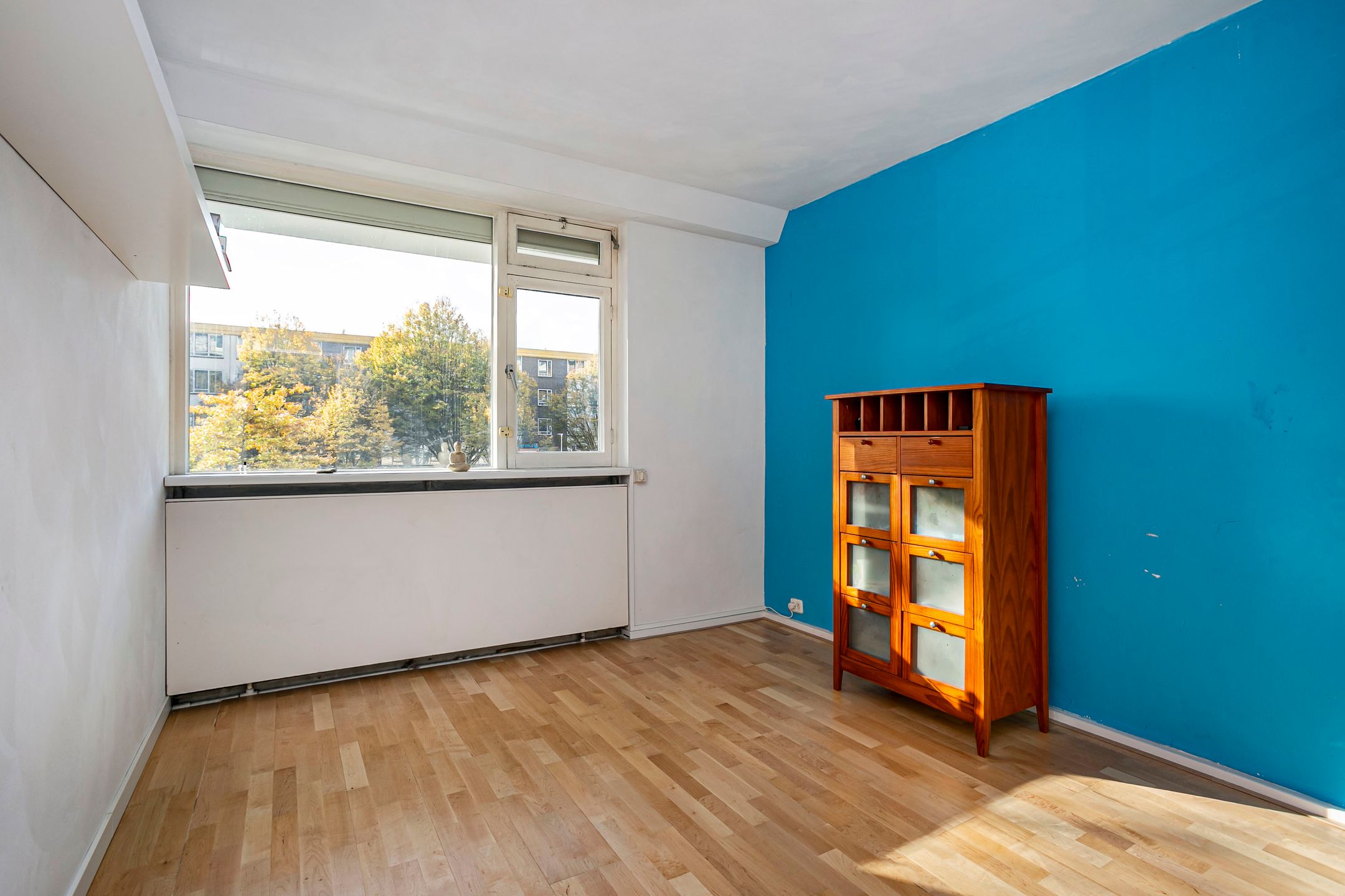 Photo 12 of Livingstonelaan 766