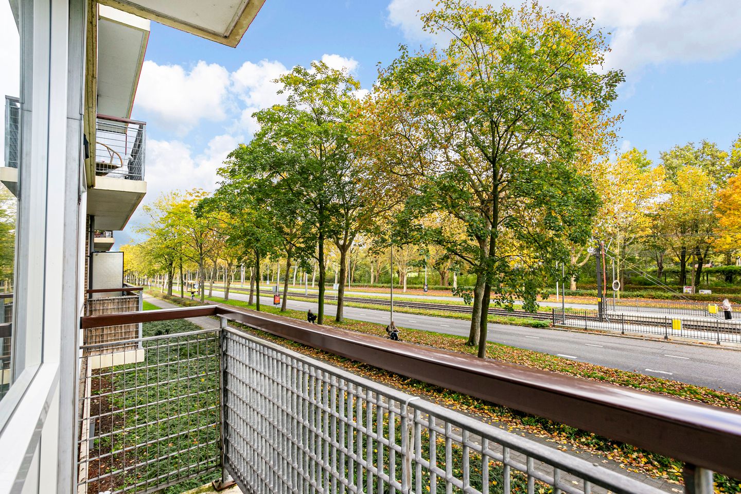 Photo 19 of Livingstonelaan 766