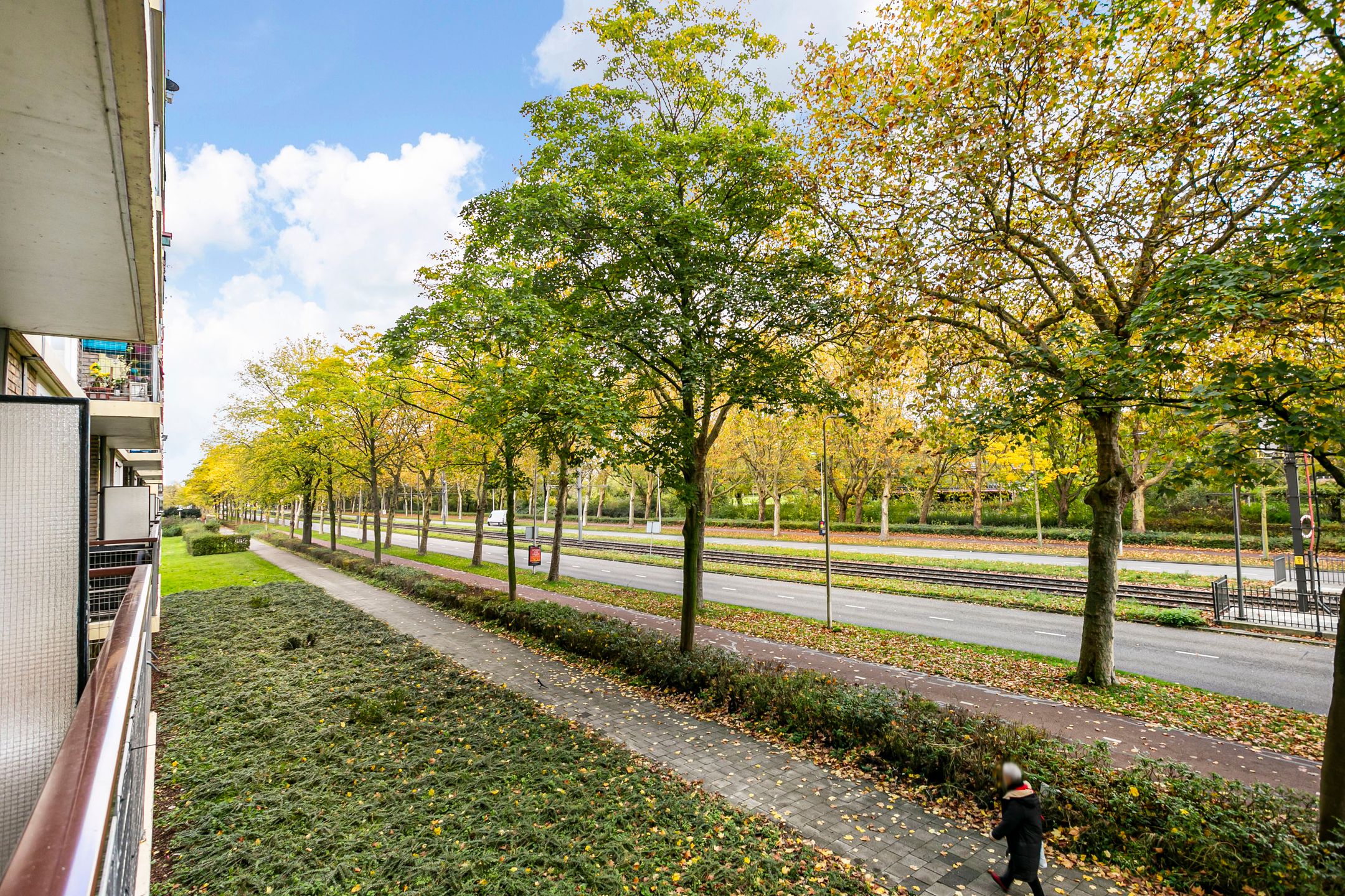 Photo 21 of Livingstonelaan 766