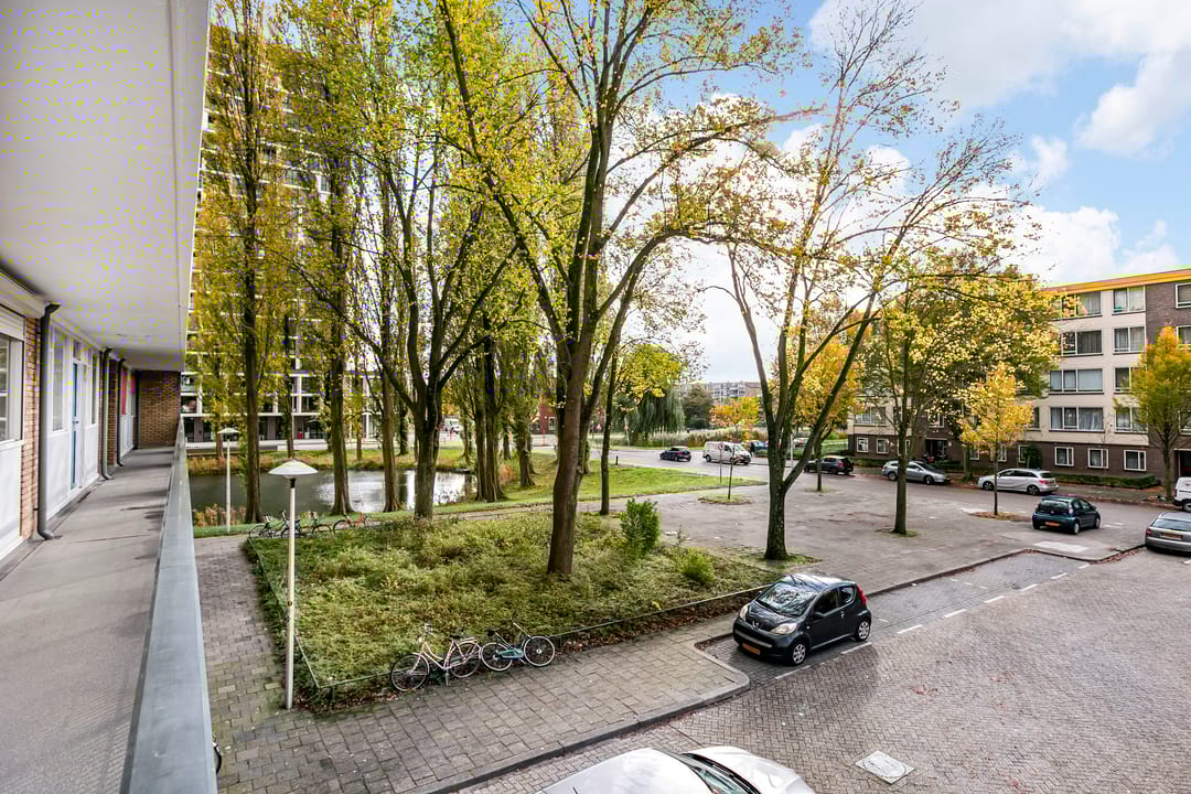 Photo 26 of Livingstonelaan 766