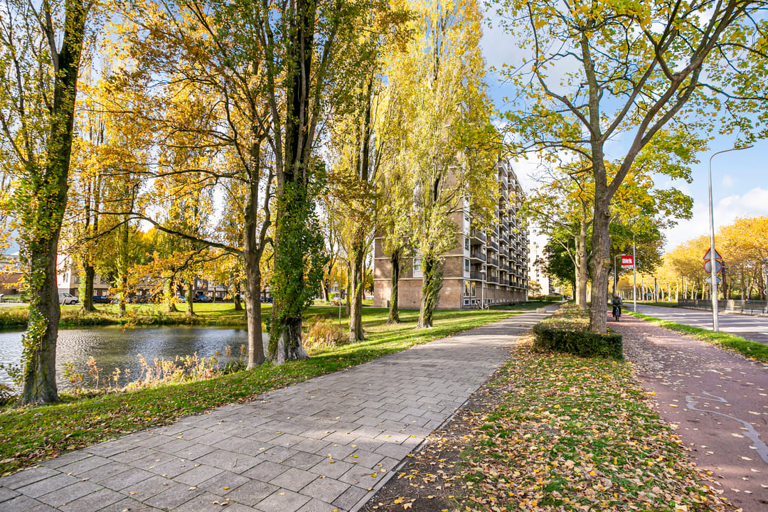 Photo 28 of Livingstonelaan 766