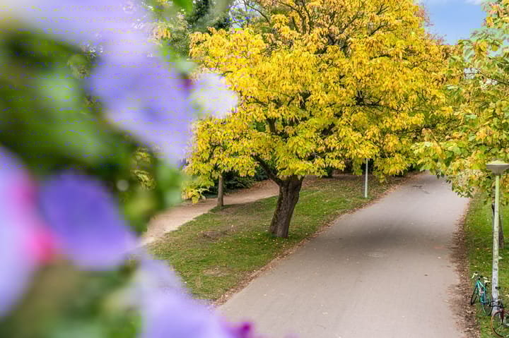 Foto 77 van Vossiusstraat 44-2