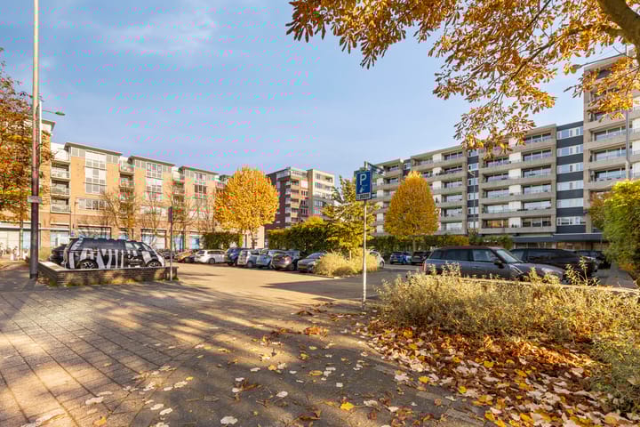 Foto 5 van Schapendries 89