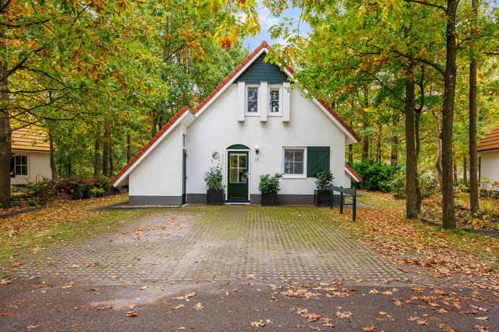 Photo 4 of De Rug 3-217