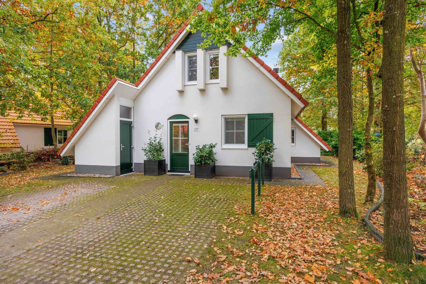 Foto 5 van De Rug 3-217