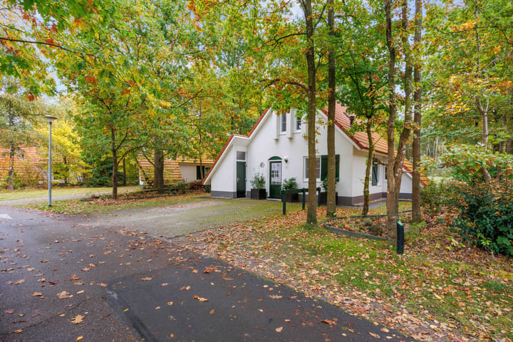 Foto 6 van De Rug 3-217