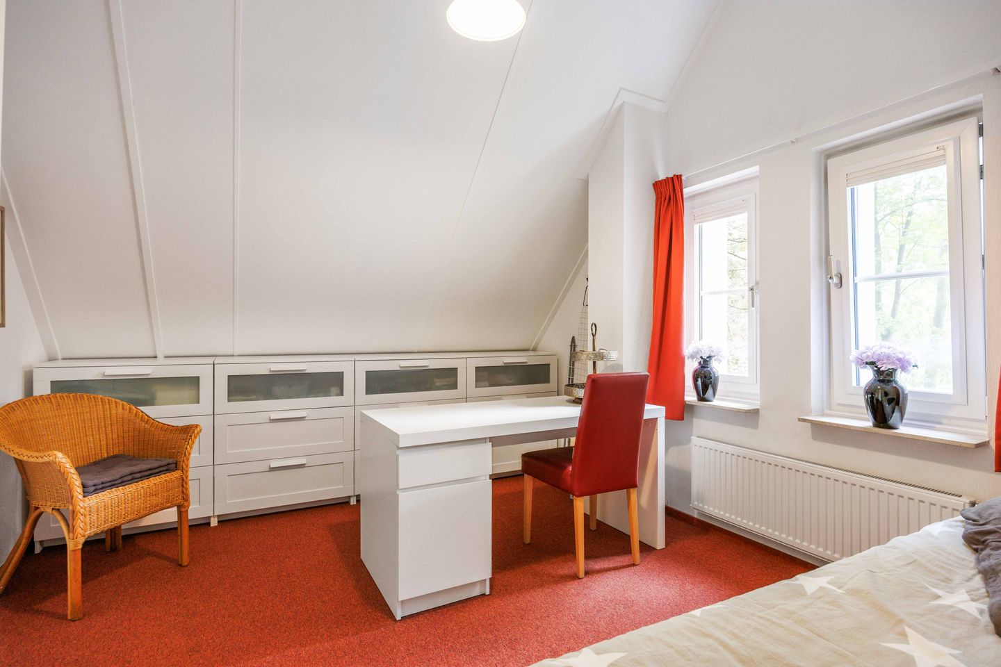 Foto 25 van De Rug 3-217