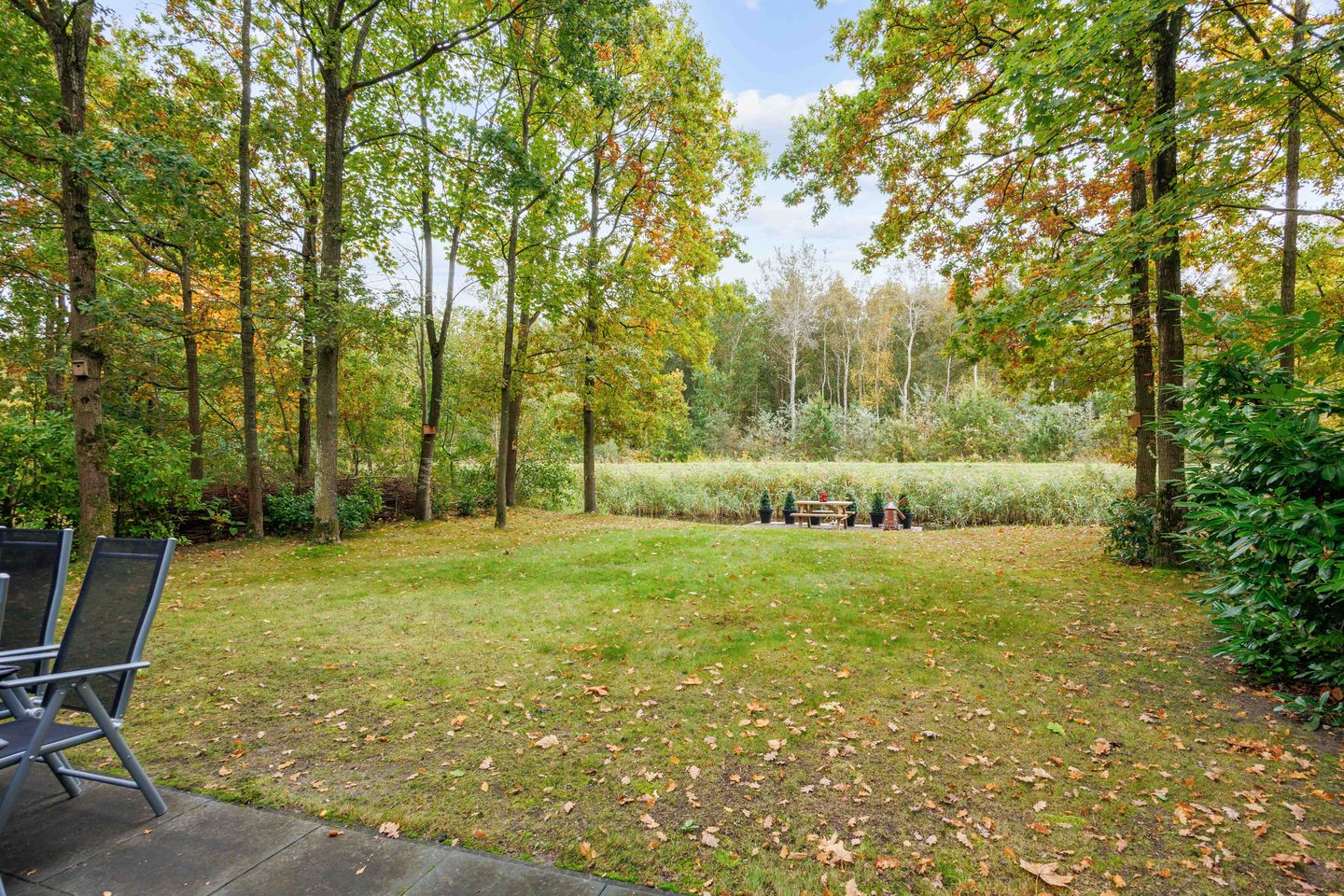 Foto 29 van De Rug 3-217