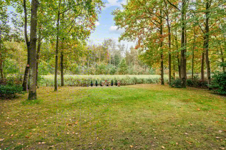 Foto 30 van De Rug 3-217