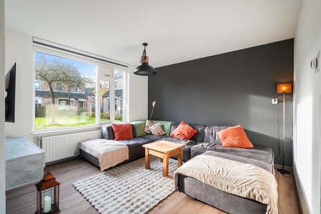 Houtduif 35 tertiary image