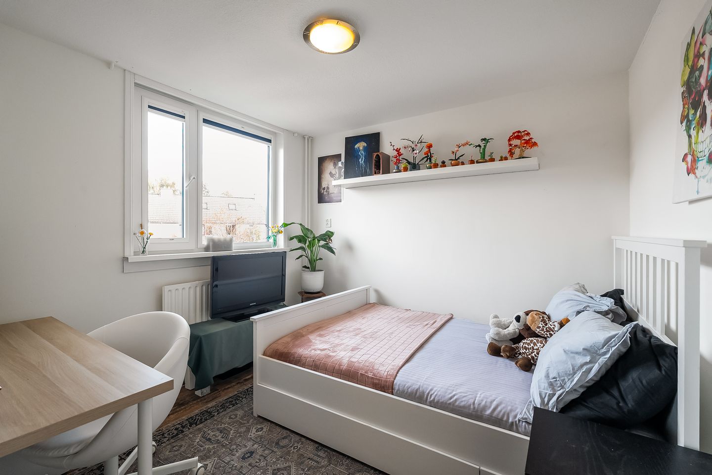 Foto 19 van Houtduif 35