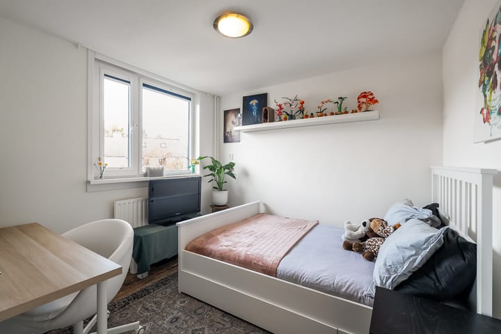 Foto 19 van Houtduif 35