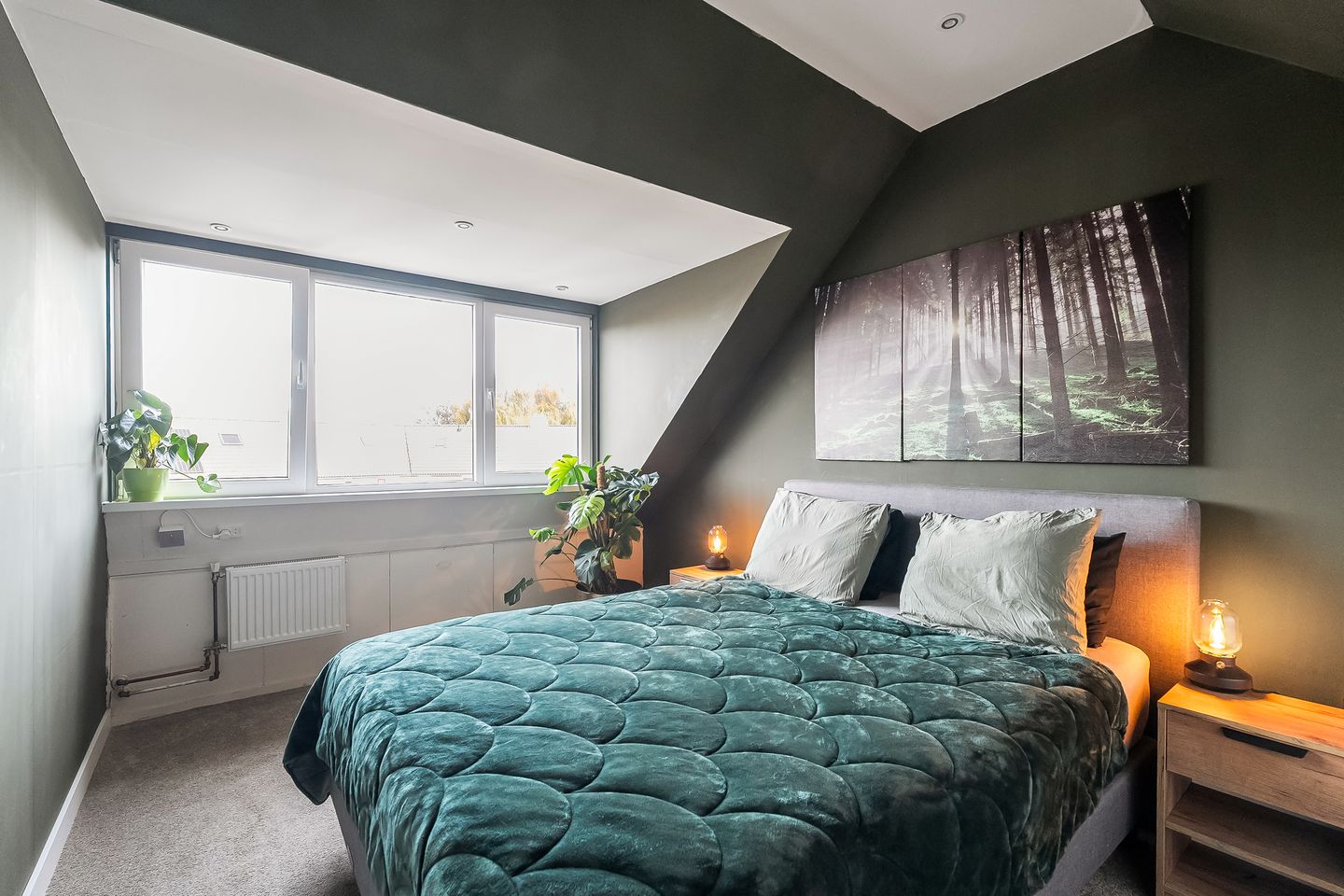 Foto 25 van Houtduif 35