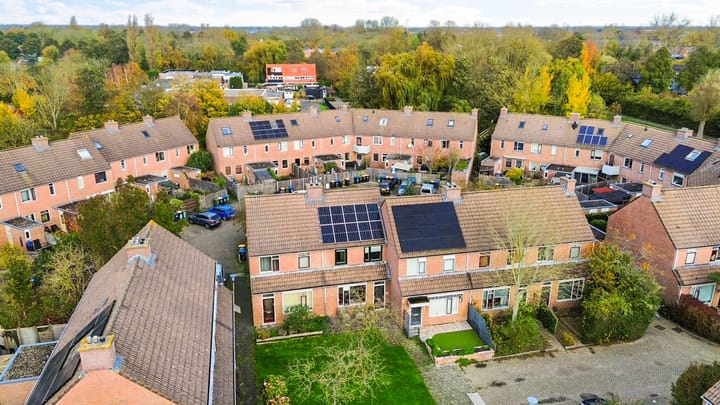 Foto 28 van Houtduif 35