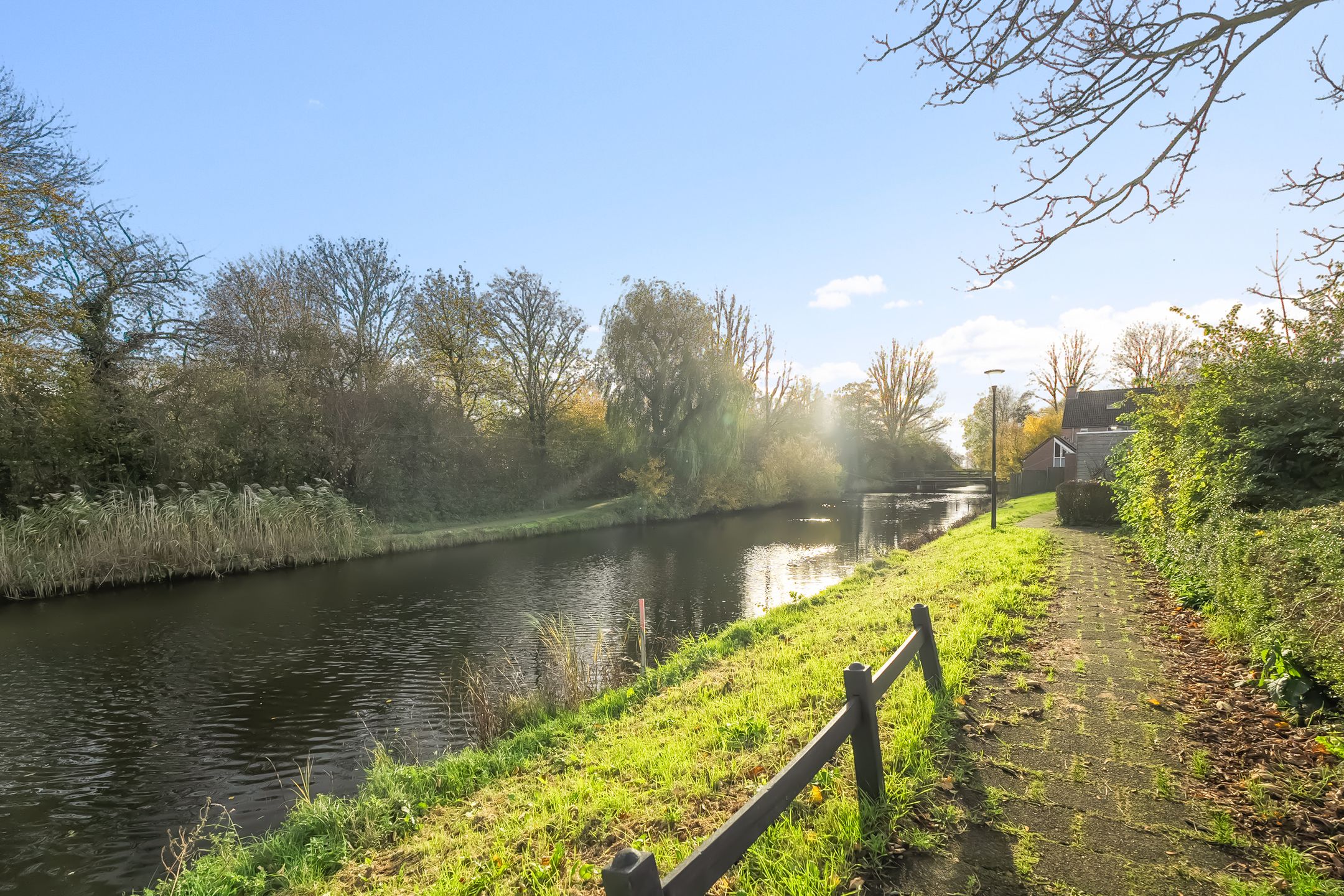 Foto 30 van Houtduif 35