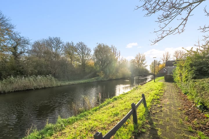 Foto 30 van Houtduif 35