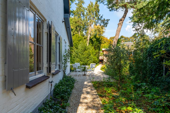 Photo 8 of Zandvoort 26