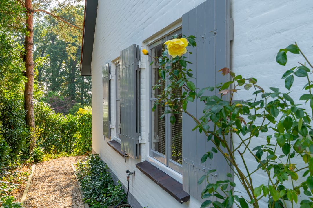 Foto 31 van Zandvoort 26