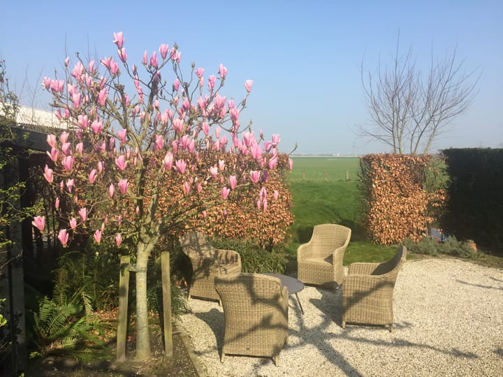 Photo 29 of 't Woudt 21