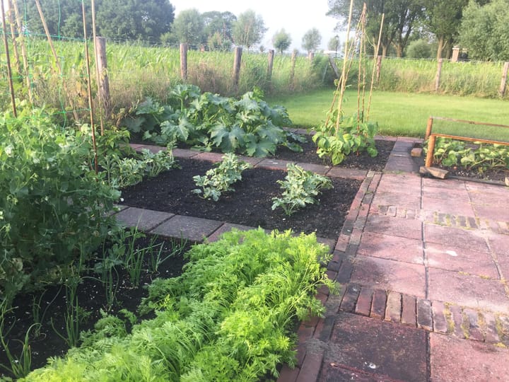 Photo 31 of 't Woudt 21