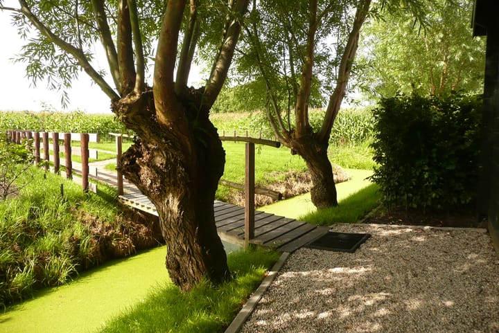 Photo 32 of 't Woudt 21