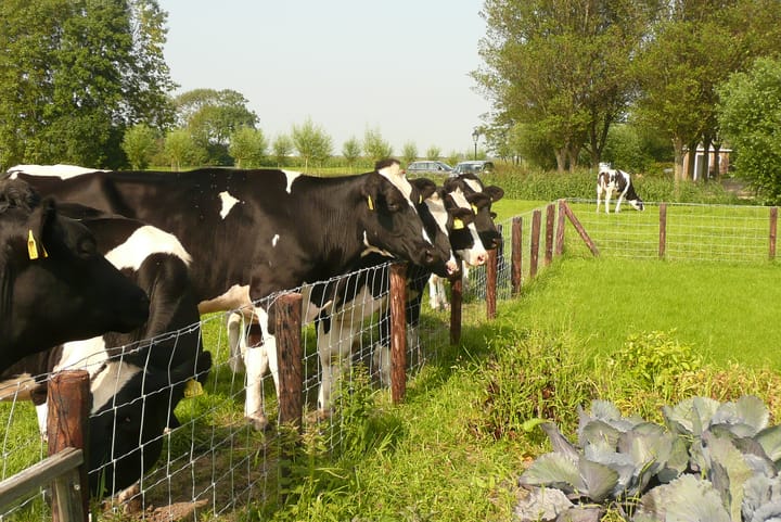 Photo 39 of 't Woudt 21