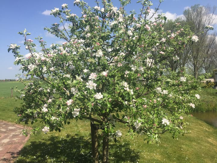 Photo 59 of 't Woudt 21