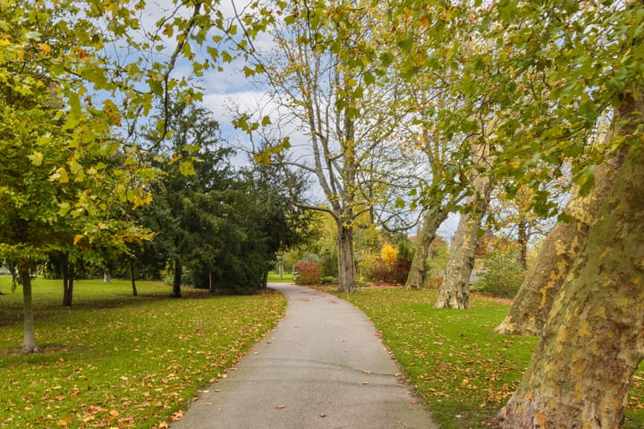 Foto 40 van Lyceumlaan 2