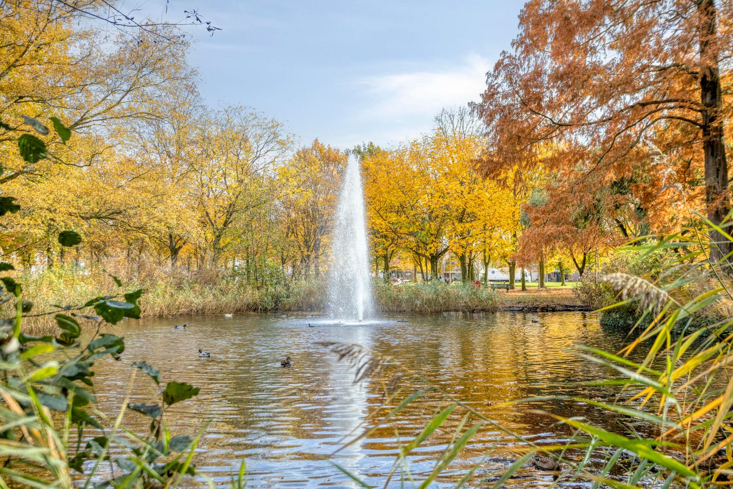 Foto 55 van Frits de Bruijnstraat 11