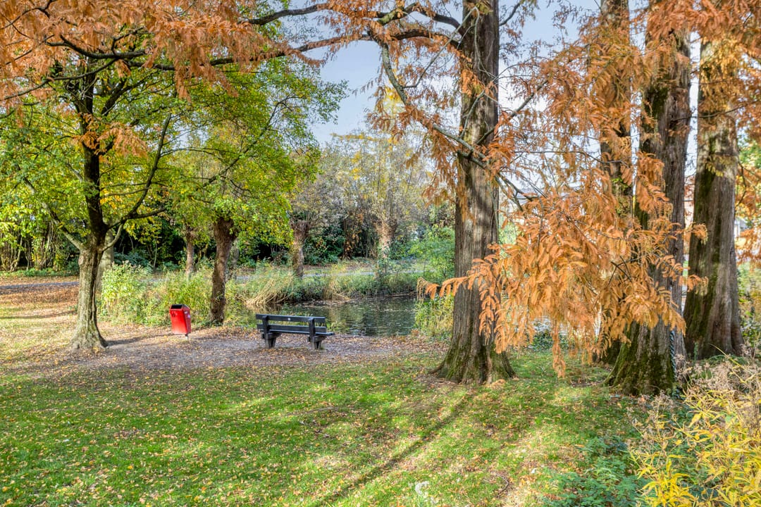 Foto 58 van Frits de Bruijnstraat 11