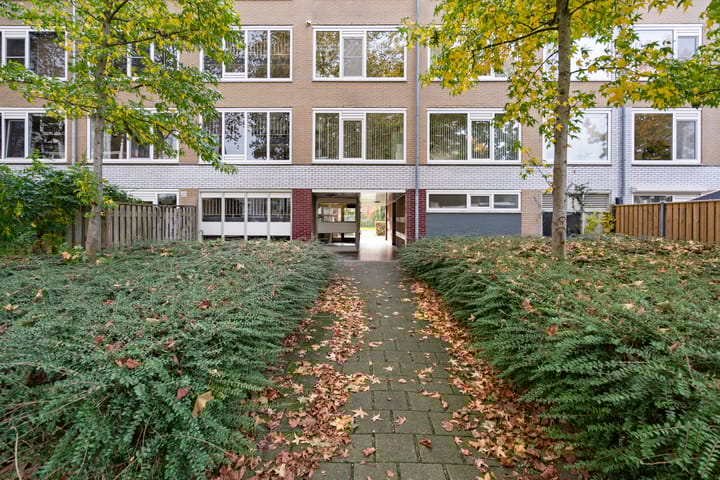 Photo 6 of Stereoplein 39