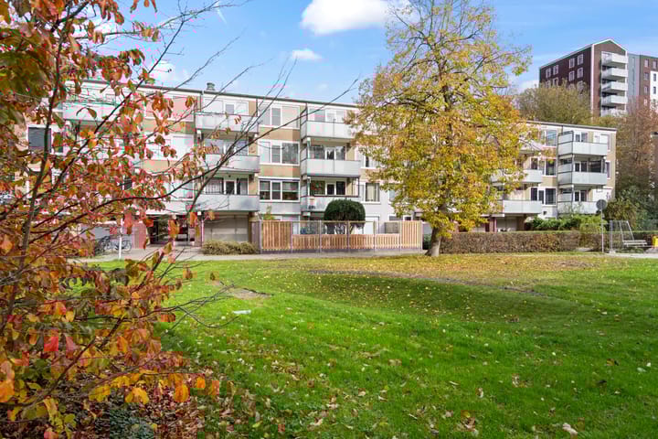 Photo 38 of Stereoplein 39