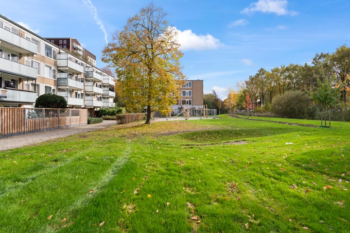 Photo 39 of Stereoplein 39