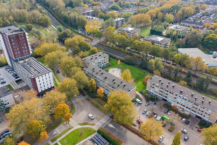 Photo 41 of Stereoplein 39