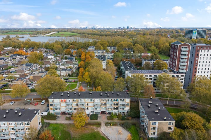 Photo 43 of Stereoplein 39