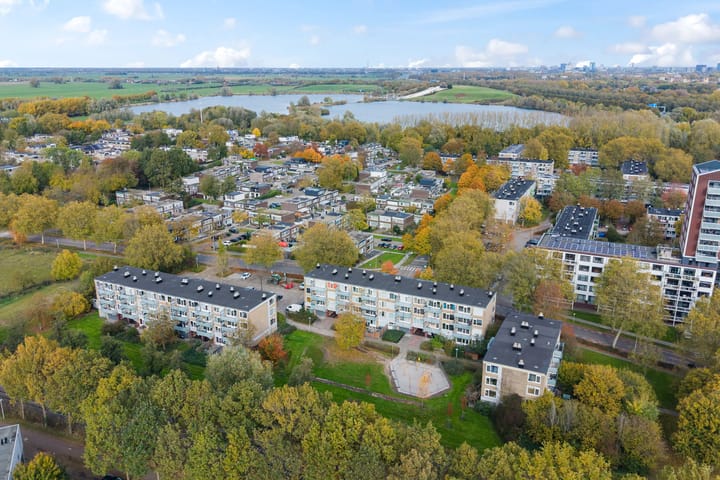 Photo 44 of Stereoplein 39