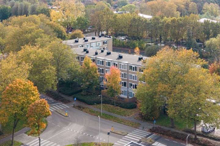 Photo 42 of Stereoplein 39