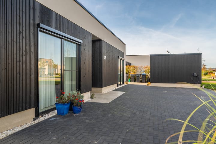 Foto 5 van Misthoorn 37