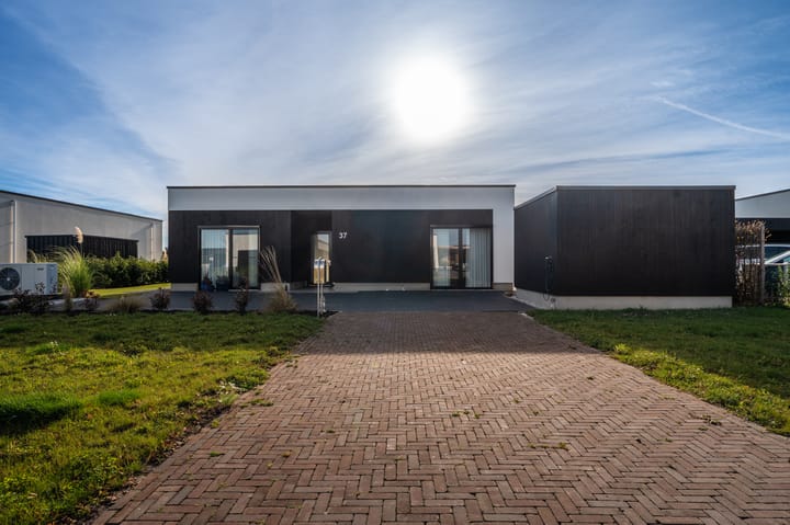 Foto 3 van Misthoorn 37